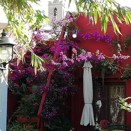 旅馆 Casa Antiquary