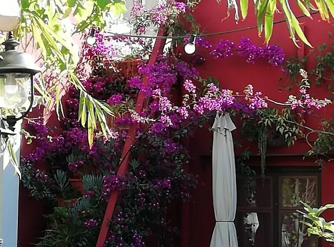 Hostel Casa Antiquary - Turistico