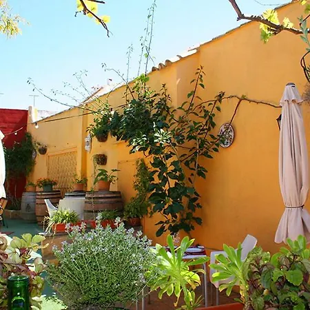 Hostel Casa Antiquary *