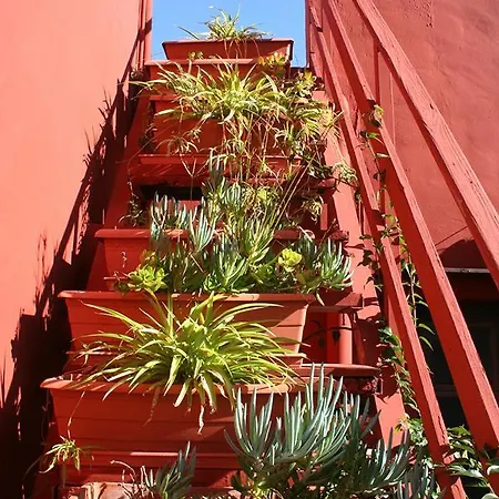 Vandrerhjem Casa Antiquary