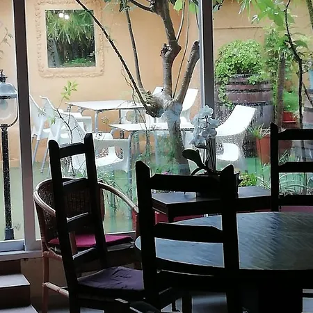 Casa Antiquary Vandrerhjem *